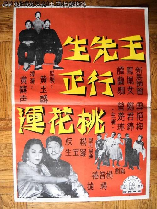 加蓬驾驶证作假